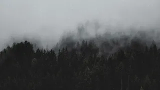 Ludovico Einaudi - Reverie // (slowed + reverb)