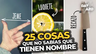 25 COSAS que NO SABÍAS que TIENEN NOMBRE | #DATAZO