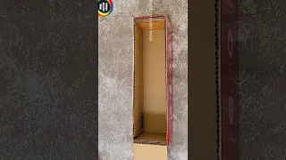 DIY Organizer from Empty Cardboard box #bestoutofwastecraft #shortvideo