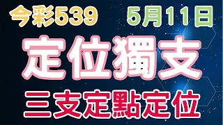 【今彩539】5月11日｜定位獨支｜少年狼539｜三支定點定位