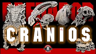Predador | Crânios 1 | Tribo Perdida - Parede de Troféus Explicada