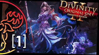 Divinity Original Sin 2 Super Modded [#1]