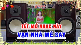 Tuyệt Đỉnh Nhạc Không Lời Rumba - Chào Xuân Giáp Thìn 2024 - Nhạc Hay Vạn Nhà Mê Say