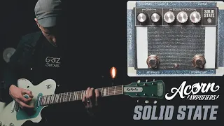 Demos in the Dark // Acorn Amps Solid State // Guitar Pedal Demo