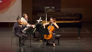 Astor Piazzolla - Libertango - Trio Des Lumières