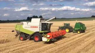 Żniwa 2019 pszenica | Claas Lexion 540