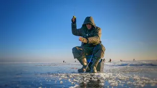 Пробурил ЭТУ лунку и понеслось!!! Ловля окуня на балансир. Зимняя рыбалка на льду.