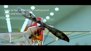 T-Motor AM20 , F3P-A Airplane Brushless Motor