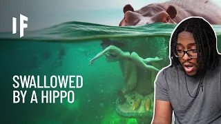 What If You Were Swallowed by a Hippo? (REACTION)