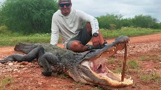 ALLIGATOR Hunting In TEXAS {Catch Clean Cook} Gator Balls