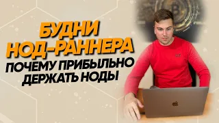 БУДНИ  НОД РАННЕРА 💻 Еженедельные действия с нодами 📱 Сколько можно заработать на нодах? 🤑