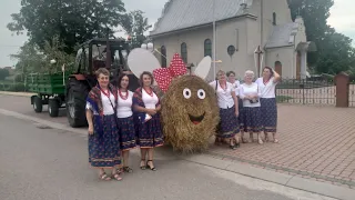 15 sierpnia przejazd z Wieńcem Dożynkowym ,impreza dożynkowa,  oraz przygotowania K.A.K. z Borowej