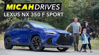 2022 Lexus NX | Lux SUV Family Review