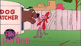 Pink Panther Saves The Dogs | 35-Minute Compilation | Pink Panther Show