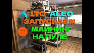 ALEO  майнинг на пуле 1to ALEO! Как запустить майнинг Aleo на пуле за 5 минут!