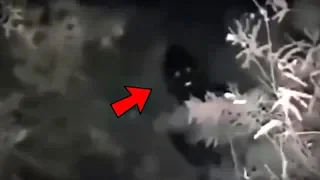 5 Scary Creature Videos You've Never Seen