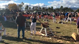 Woodchopping 600mm Standing Butchers Block Tasmanian Championship Campbell Town  @amandabeams3354