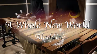 Aladdin OST - A Whole New World - Pulse Marimba Cover