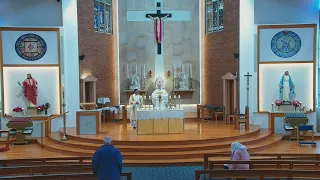 Catholic Mass for 5th Week of Easter - Thursday 2 May 2024 (St Athanasius) - 8am