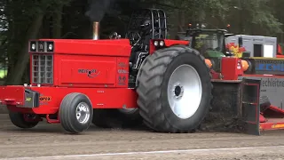 Mighty Quinn 😅 Tractor Pulling Alfstedt 2020 Kastorf 2014 Hassmoor 2014