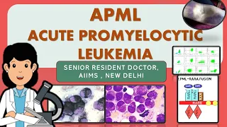 APML | PML RARA fusion  Acute Promyelocytic Leukemia ( Rapid review!!!)