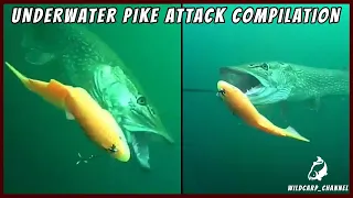 10 MINUTES OF UNDERWATER PIKE ATTACK COMPILATION!