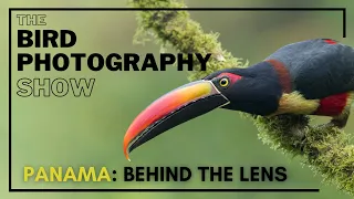 Behind the Lens: Panama | R5 in the Jungle | Editing Hundreds of Images fast!