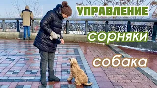 Надо управлять каждым сорняком