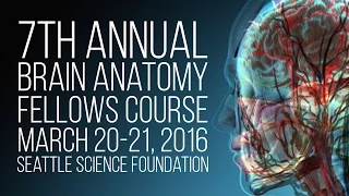 7th Annual Brain Anatomy Fellows Course - March 20-21, 2016