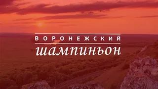 Воронежские Шампиньоны V2