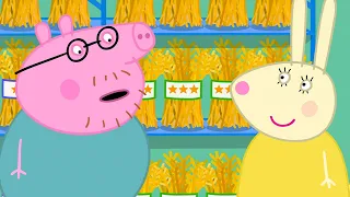Cochons d'Inde | Peppa Pig Français Episodes Complets