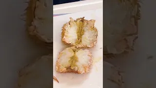 蟹カットJapanese fish🐟🐟🐟 How to cut horsehair crab.