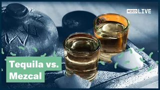 Tequila vs. Mezcal: May the Best Drink Win!