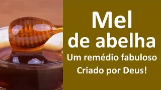 Mel de abelha! um remédio fabuloso criado por Deus! | Dr. Marco Menelau