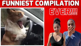 MAYBE The FUNNIEST Compilation EVER (Try Not To Laugh)
