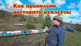 КАК МЫ ВЫСТАВЛЯЕМ СВОИ НУКЛЕУСЫ НА ОБЛЁТНИК