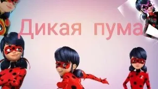 Леди баг и супер Кот ( на песню Дикая пума )