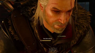 The Witcher 3 Memorable Geralt Quotes (Campaign Part 1)