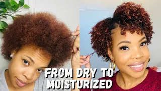 How to moisturize | DRY Natural Hair | Easy wash & go, beginner friendly ( part 1 )