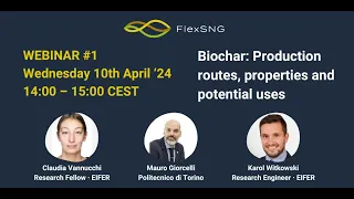 FlexSNG Webinar #1 - Biochar production routes, properties and potential uses