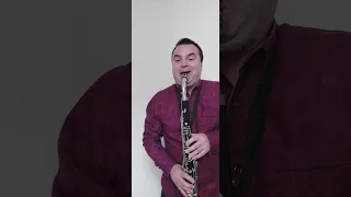 Miley Cyrus - Flowers (Cover Clarinet off limits) #mileycyrus #flowers #altoclarinet #cover