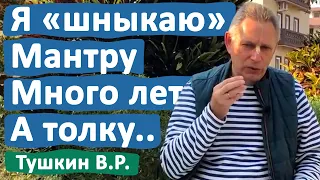 Я «ШНЫКАЮ» МАНТРУ МНОГО ЛЕТ, А ТОЛКУ.. • ВАСИЛИЙ ТУШКИН