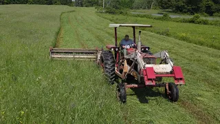 Cutting More Thick Hay!