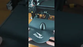 Напечатал Капсулу для Автовоза на 3D Принтере