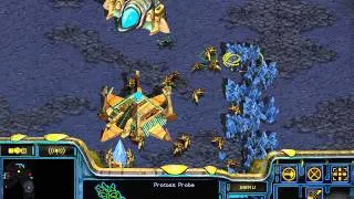 StarCraft Brood War [FPVOD] 21 01 2009 White Ra Протоссы против любителей муталисков