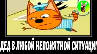 ДЕД В ЛЮБОЙ НЕПОНЯТНОЙ СИТУАЦИИ! | СБОРНИК ЛЕГЕНДА №66 | МУД ТРИ КОТА ДЕМОТИВАТОР RYTP БЕЗ МАТА