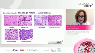 Conociendo el cáncer de mama de perfil luminal