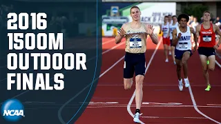 Men's 1500m - 2016 NCAA Outdoor Track and Field Championship