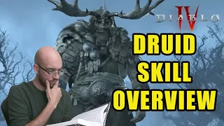 ALL Druid Skills Reviewed and Discussed! | Diablo 4