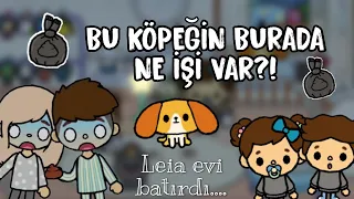 Leia'yı fark ettik! - Toca Life World Türkçe / Toca Life King